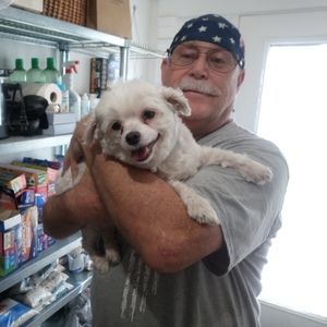 Meet your Posher, Louis